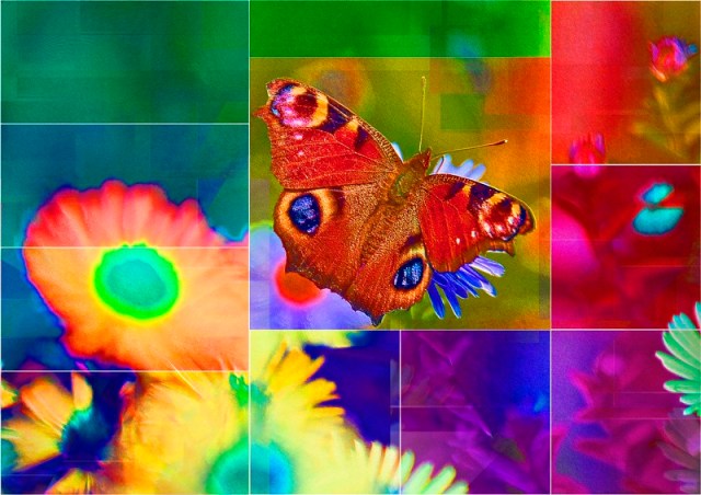 Butterfly_PhotoArt