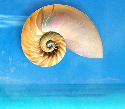 για την Αλίκη